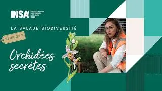 Miniature : La Balade Biodiversité - Episode 7 : Orchidées secrètes