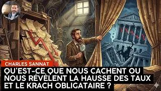 Miniature : Qu'est-ce que nous cachent ou nous révèlent la hausse des taux et le krach obligataire ?