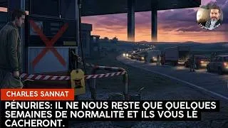 Miniature : Pénuries: Il ne nous reste plus que quelques semaines de normalité et ils vous le cacheront.