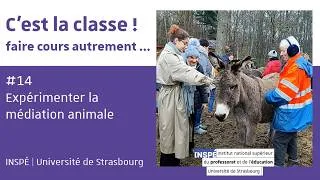 Miniature : Expérimenter la médiation animale | C'est la classe #14