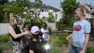 Miniature : Gartenzwerg