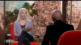 Miniature : Le rire du tigre, 10 ans avec un maître zen - Sagesses bouddhistes - France 2