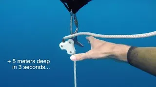 Miniature : Octopus pulling system tested for you