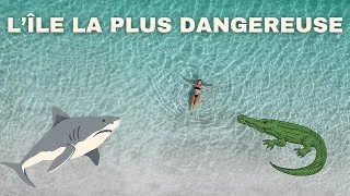Miniature : L'île la plus dangereuse du monde ! | K'gari - Fraser Island