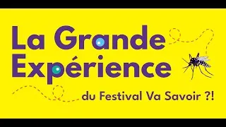Miniature : La Grande Expérience du Festival Va Savoir ?!