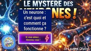 Miniature : Instant Stress N°205 : vous saurez tout ou presque sur le #neurone ! #santé #neuro