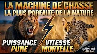 Miniature : La Machine de Chasse la plus Parfaite de la Nature