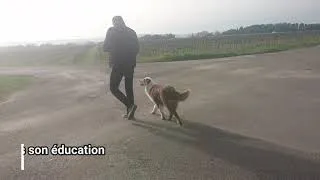 Miniature : [EDUCATION] Plume et la marche au pied