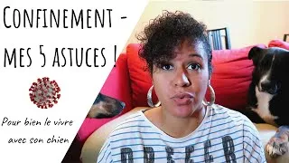 Miniature : 🤔 RÉACTION CONFINEMENT ! 5 CONSEILS pour bien le vivre avec son chien ! 😷