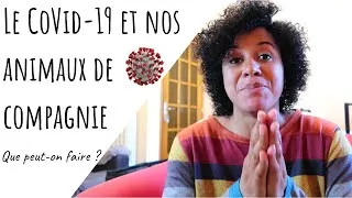 Miniature : 🤔 RÉACTION CONFINEMENT !!! CoVid19 et nos animaux dans tout ça ! 😷