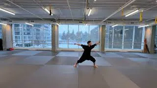 Miniature : Xuan Gong Quan Yi Lu - Séquence 3 | Taolu fondamental du Kung Fu Wudang – 玄功拳一路拳