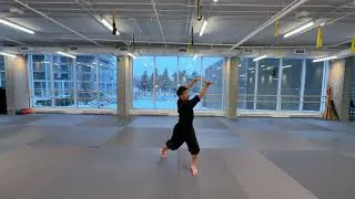 Miniature : Xuan Gong Quan Yi Lu - Séquence 4 | Taolu fondamental du Kung Fu Wudang – 玄功拳一路拳