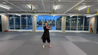 Miniature : Xuan Gong Quan Yi Lu - Séquence 6 | Taolu fondamental du Kung Fu Wudang – 玄功拳一路拳