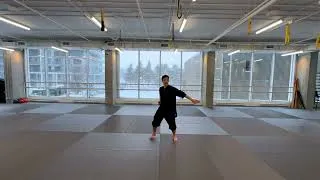 Miniature : Xuan Gong Quan Yi Lu - Séquence 2 | Taolu fondamental du Kung Fu Wudang – 玄功拳一路拳