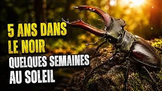 Miniature : Cet Insecte Fait Peur à Tout le Monde — et Personne Ne le Connaît