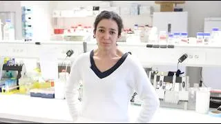 Miniature : La MASLD, MOOC FHU-GO MASH – Introduction (1/5)