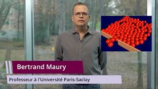 Miniature : Modéliser les mouvements de foules
