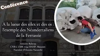 Miniature : CONFÉRENCE Antoine Balzeau - A la lueur des silex des et des os: les Néandertaliens de la Ferrassie