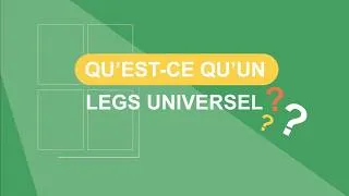 Miniature : Qu'est-ce qu'un legs universel ?