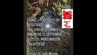 Miniature : La voix des femmes