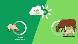 Miniature : L’alternance des brebis et des vaches au pâturage : quels impacts sur le parasitisme interne ?