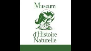 Miniature : "Mon métier, c'est de faire parler le caillou"
