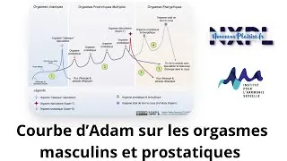 Miniature : Les orgasmes prostatiques avec Adam le spécialiste !!