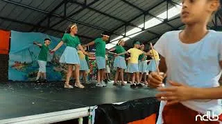 Miniature : CM1A - Samba di Janeiro