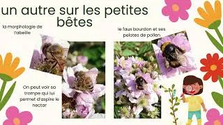 Miniature : Activités scientifiques des GS