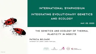 Miniature : [Conférence] Patricia Beldade -  The genetics and ecology of thermal plasticity in insects