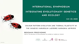 Miniature : [Conference] Benjamin Prud'homme - The invasive harlequin ladybird Harmonia axyridis