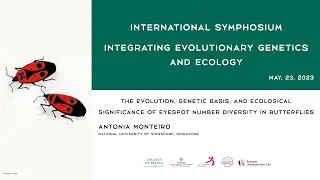 Miniature : [Conférence] Antonia Monteiro - Eyespot number diversity in butterflies
