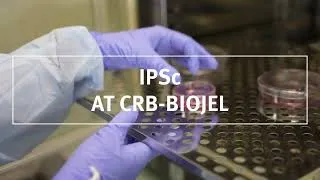 Miniature : IPSc: a new type of resource offered by CRB-BioJeL