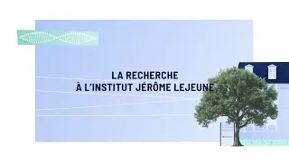 Miniature : La recherche à l'Institut Jérôme Lejeune