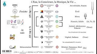 Miniature : L'eau, la musique, la conscience et la vie