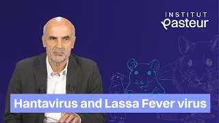 Miniature : Hantavirus and Lassa Fever virus - Noel Tordo
