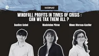 Miniature : Windfall profits in times of crisis : can we tax them all ?