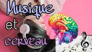 Miniature : Musique et cerveau 🧠 sciences cognitives