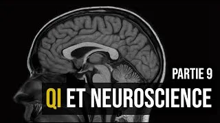 Miniature : Partie 9 : QI et neurosciences
