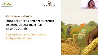 Miniature : 🎥 Replay – Webinaire : Financer l’accès des producteurs de céréales aux marchés institutionnels