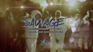 Miniature : Intouchable - Sauvage
