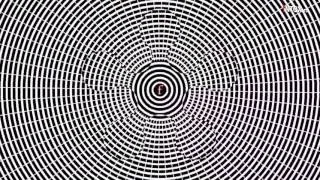 Miniature : Illusion d'optique - Tout bouge !