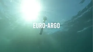 Miniature : Euro Argo EP2 - Contribution to the European Global Ocean Observing Ecosystem