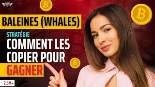 Miniature : 🐳 Bitcoin (BTC) : Copier les baleines, la STRATÉGIE secrète pour GAGNER en crypto
