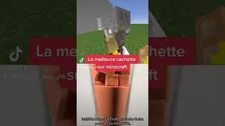 Miniature : Essais de me trouver parmi les 100 têtes..