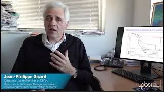 Miniature : Des vaisseaux sanguins permettent aux lymphocytes tueurs d’accéder aux tumeurs et de les détruire