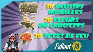 Miniature : FALLOUT 76 Ou trouver des fausses Morilles , des fleurs de carottes et des tête de feu !!!
