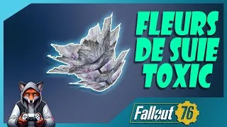 Miniature : FALLOUT 76 Ou trouver des fleurs de suie toxic !!!