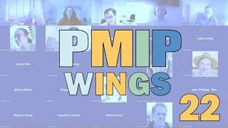 Miniature : PMIP WINGS #22 - Himadri Saini