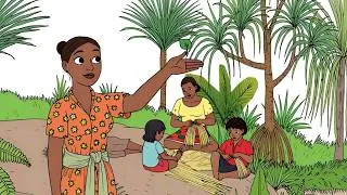 Miniature : 🌍 Et si on partait explorer la biodiversité ? 🦎🌿 #madagascar